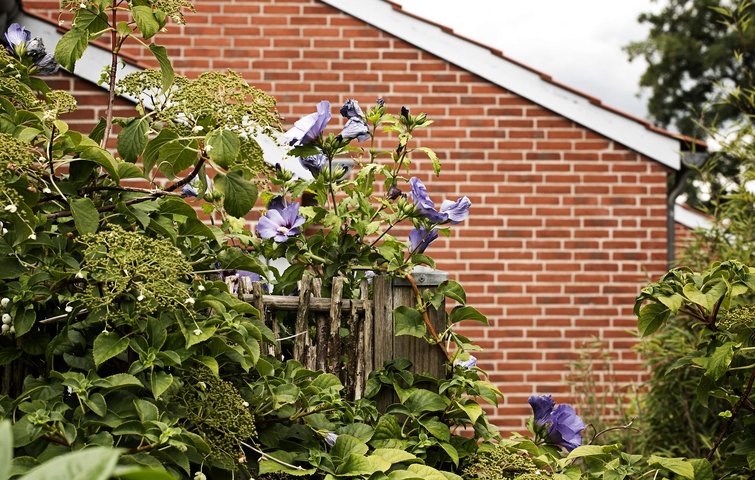 Gør haven klar til alderdommen