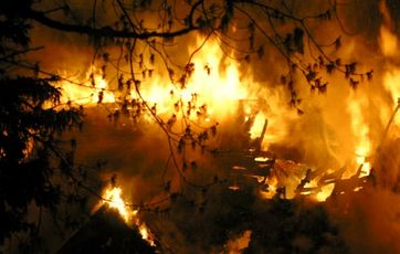 brand i skov
