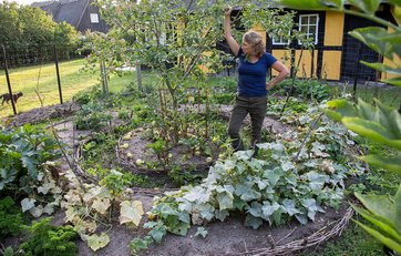 Birgitte Svennevig står ved et Filippa-træ.