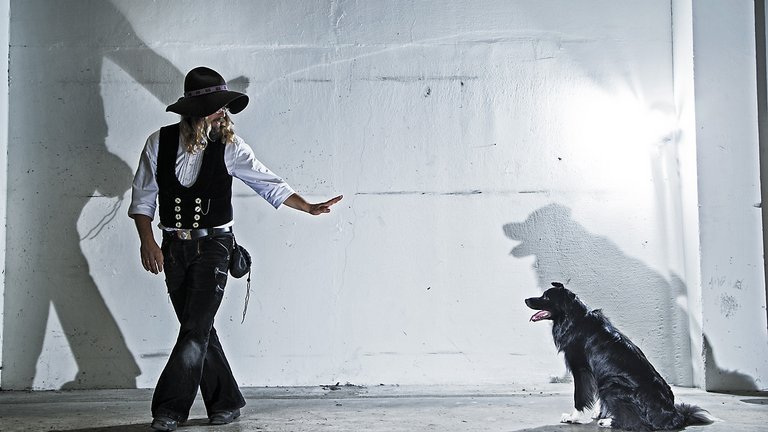 Hunden Gipsy finder skjult skimmelsvamp i din bolig