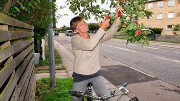 Må andre plukke bær, frugter og blomster fra din have?