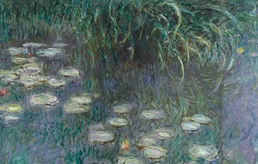 Udsnit af Monets store serie med malerier af åkander Udsnit af Monets store serie med malerier af åkander