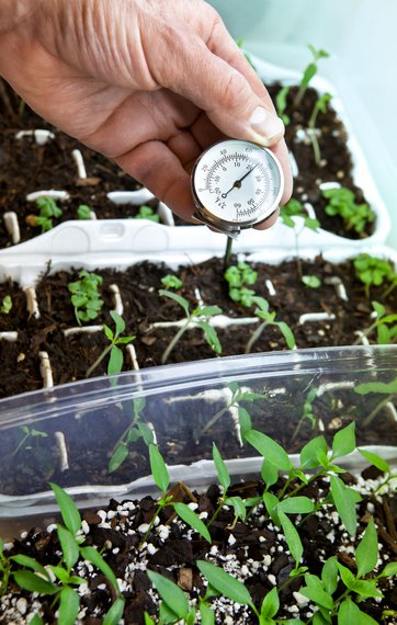 Plant ud på altanen såkasse