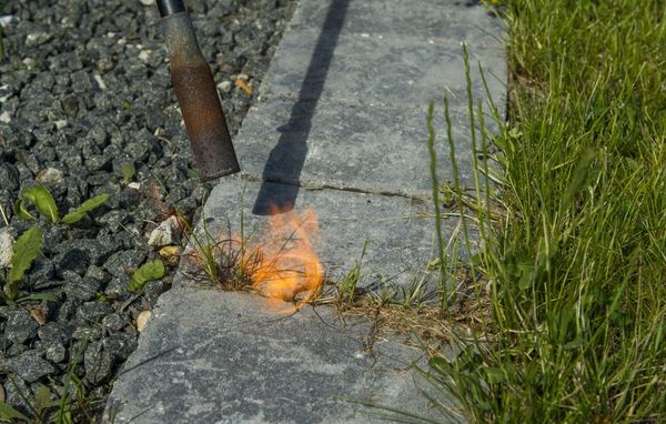 ukrudtsbrænder gasbrænder have ukrudt
