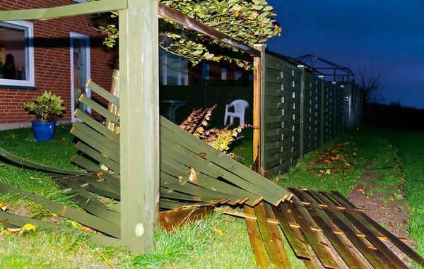 En storm kan blæse et løst hegn, stakit eller plankeværk omkuld. Foto: Jesper Elgaard