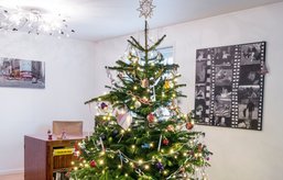Juletræ