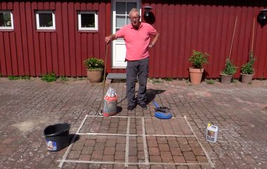 Test: Hvad er bedst til at fjerne flisepest?