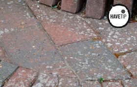 Flisepest på terrassen - sådan fjerner du det