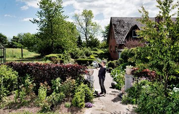 Merete Møller vander planter i sin naturhave Merete Møller vander planter i sin naturhave