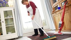 De bedste fif til at fjerne hår fra hunde og katte i dit hjem