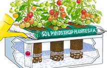 Illustration: Selvvandingskasse
