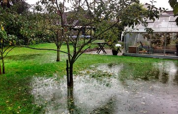 Grundvandsspejl Græsplæne står undervand på grund af regn og et stigende grundvandsspejl.