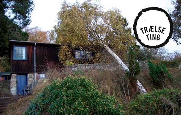 Ifølge Byggeloven er enhver grundejer forpligtet til at holde både ejendom og ubebyggede arealer i forsvarlig stand. Det betyder bl.a., at naboens træer ikke må være i risiko for at vælte gør de det alligevel, vil din nabo typisk være ansvarlig