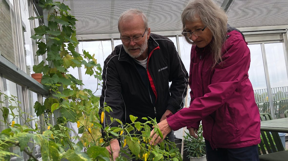 Marianne og Steen i orangeriet