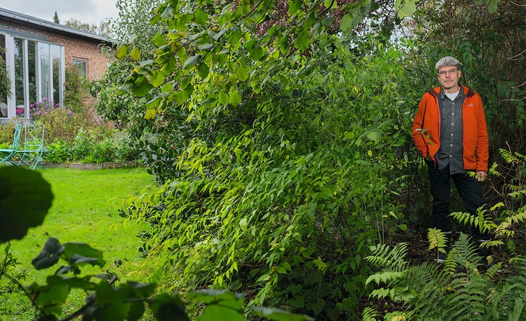 få mere biodiversitet i haven ved at bruge dit haveaffald