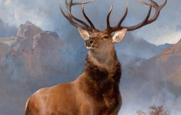 Maleriet The Monarch of the Glen Maleriet The Monarch of the Glen