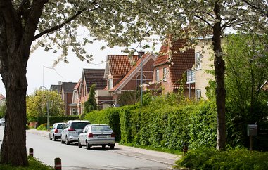 Biler parkeret på offentlig vej i villakvarter.