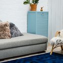 Lammeskindet – hvor blev det af?