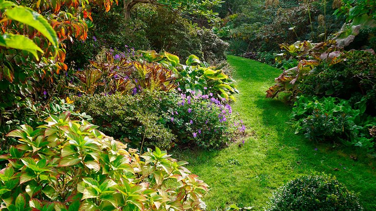 biodiversitet have