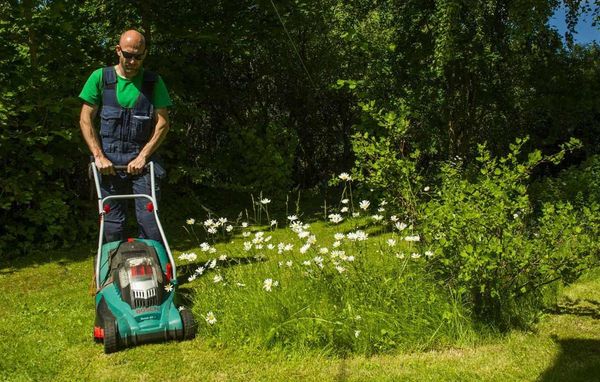 græsplæne pleje grøn visne pletter græs have havearbejde