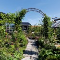 Kolonihave fyldt med farver og grønne planter