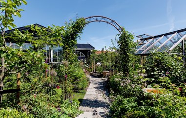 Kolonihave fyldt med farver og grønne planter