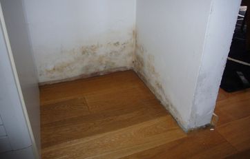 Kan man få skimmelsvamp af manglende ventilation?