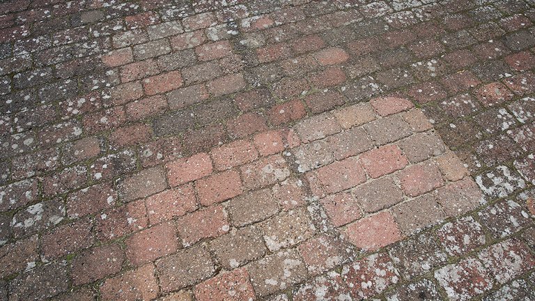 Flisepest - 3 metoder til at fjerne det