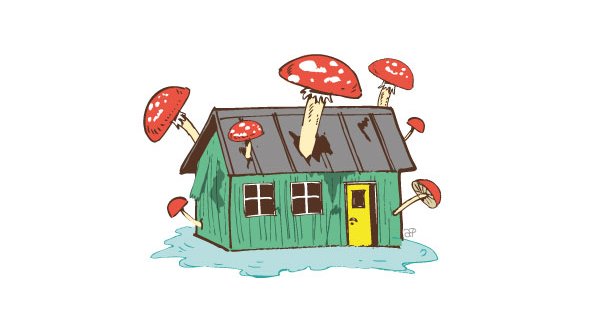 Illustration med hus ramt af svampeangreb