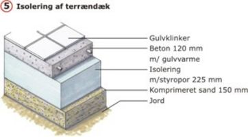 Skimmelsvamp i kælder