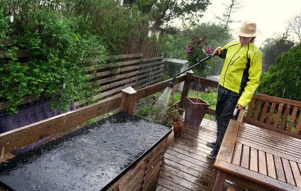 Det kan af og til betale sig at vande haven i regnvejr Skal du vande din have i regnvejr?