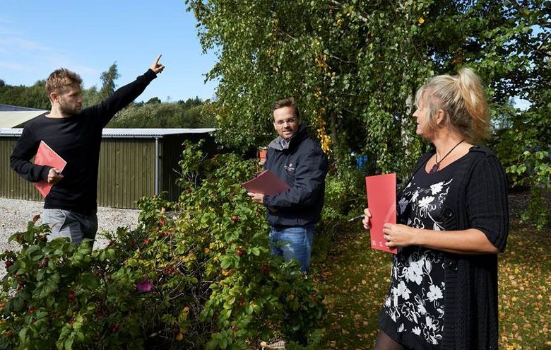 Hæk og hegn i skel - her er de vigtigste regler