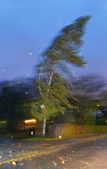 Hvad siger bygningsreglementet om tagbeklædning?