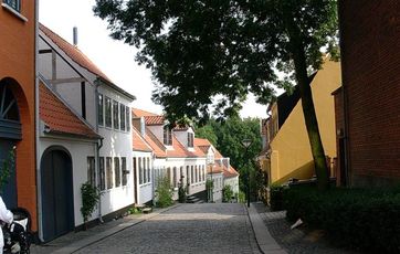 Det er ikke kun huse, der kan fredes, men også fx gårdspladser og træer.
