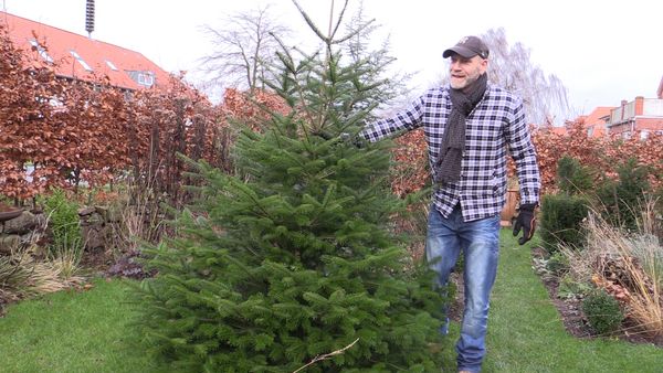 Juletræ Bolius' haveekspert Jesper Carl Corfitzen holder et juletræ, han lige har fældet.