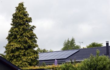 Hvis du har et træ, der skygger for dine solceller, kan det være en god idé at fælde eller beskære det, for det kan nedsætte strømproduktionen betydeligt.