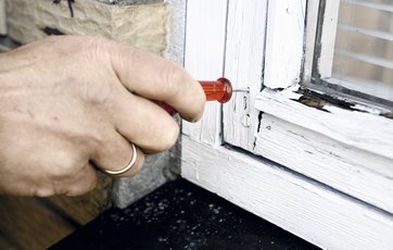 Træ i vindue tjekkes for råd med en lille syl