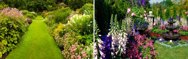 blomsterbede der varer hele sommeren