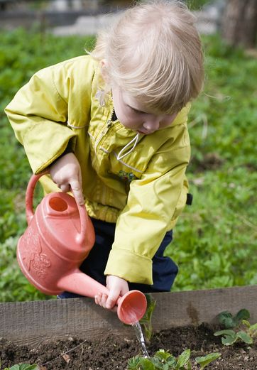 Hvor meget skal jeg vande mine planter?