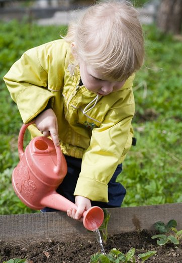 Barn vander planter i højbed med vandkande