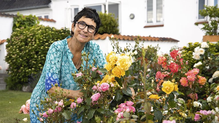 Roseforædleren Rosa Eskelund ved siden af nogle af sine mange roser