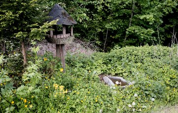 En bunke kvas og et fuglehus i en naturhave En bunke kvas og et fuglehus i en naturhave