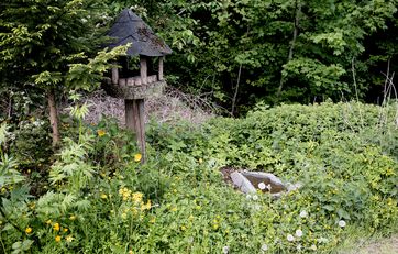 En bunke kvas og et fuglehus i en naturhave En bunke kvas og et fuglehus i en naturhave
