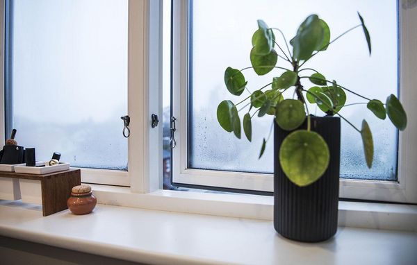 kondens nye vinduer fugt skimmel skimmelsvamp udluftning indeklima