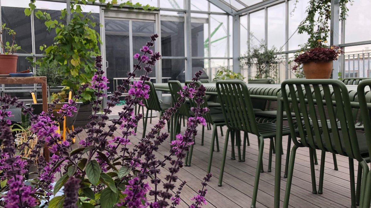 Orangeriet i Kamelia Hus