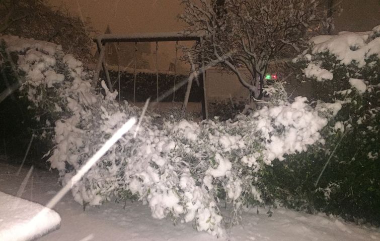 Hæk i baghave væltet som følge af kraftigt snevejr