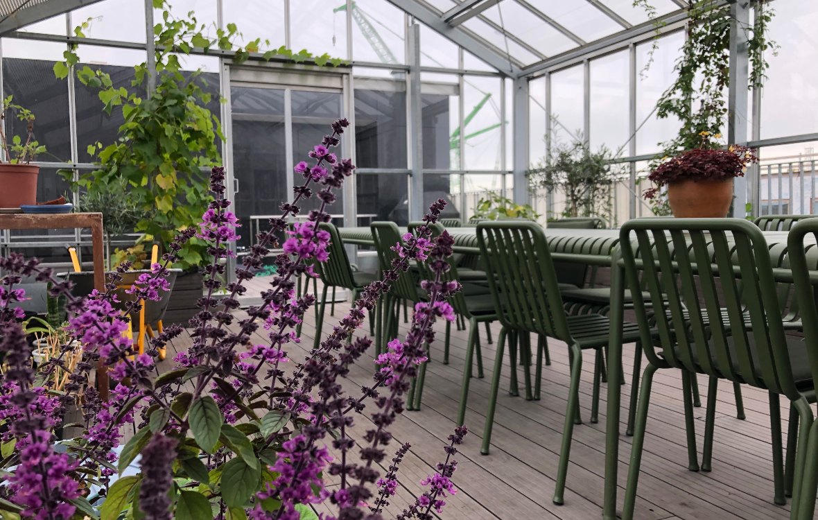 Orangeriet i Kamelia Hus