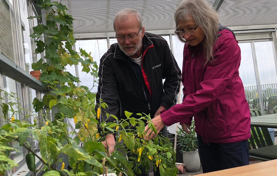 Marianne og Steen i orangeriet