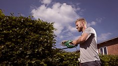 Mand klipper hæk ned til højde på 1 meter for at forebygge indbrud.