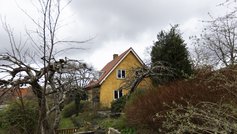 Gult hus set fra haven